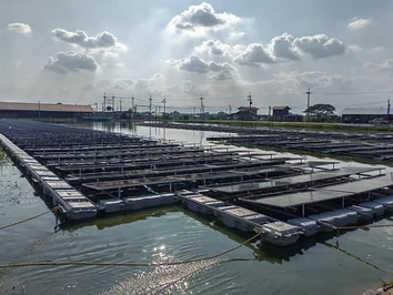 ソーラーフローティングファーム